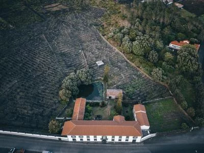 Thumbnail Cata Premium de 7 Vinos Volcánicos en la Adega do Vulcão en Pico, Azores