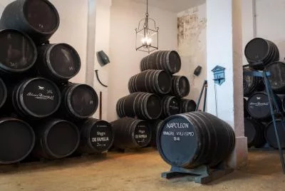 Thumbnail Jerez: Visita guiada a las Bodegas Álvaro Domecq con cata de vinos