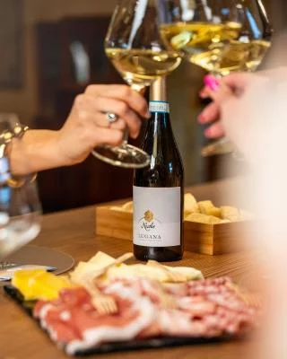 Thumbnail Wine Tasting with Local Products and Cellar Tour at Nicolis in Valpolicella