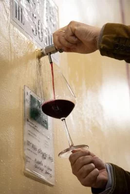 Thumbnail Degustazione di vini in una cantina storica vicino a Roma - Castello di Torre in Pietra