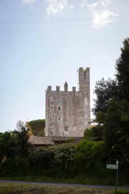 Thumbnail Wine Tasting at a Historic Winery near Rome – Castello di Torre in Pietra