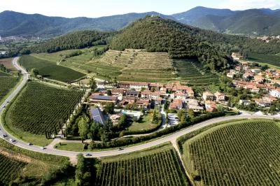 Thumbnail Degustazione di Franciacorta d'annata a Villa Franciacorta: 3 Millesimati nel corso degli anni.
