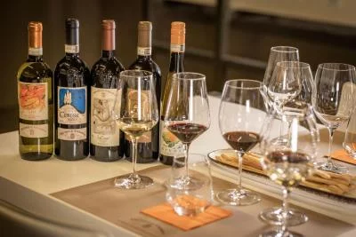 Thumbnail Experiencia de cata de vinos Panoramica en la Bodega Michele Chiarlo