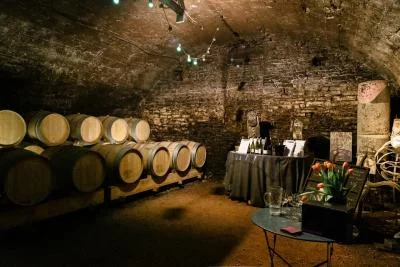 Thumbnail Full-Day Wine Tour from Lyon: Beaujolais Wineries, Oingt & Picnic Lunch