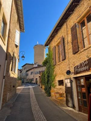 Thumbnail Ganztägige Weintour ab Lyon: Beaujolais Weingüter, Oingt &amp; Picknick Mittagessen