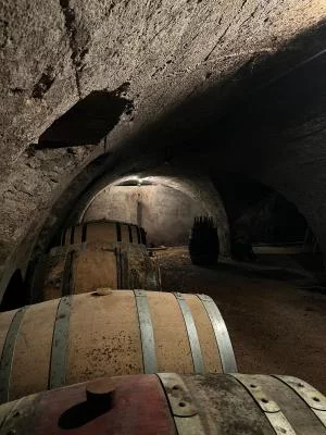 Thumbnail Ganztägige Weintour ab Lyon: Beaujolais Weingüter, Oingt & Picknick Mittagessen