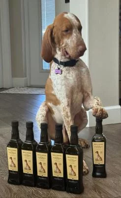 Thumbnail Dégustation de vin de Chianti et d'huile d'olive à la cave Bonomonte