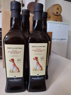 Thumbnail Dégustation de vin de Chianti et d'huile d'olive à la cave Bonomonte