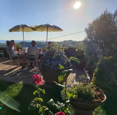 Thumbnail Chianti-Wein- und Olivenölprobe im Weingut Bonomonte
