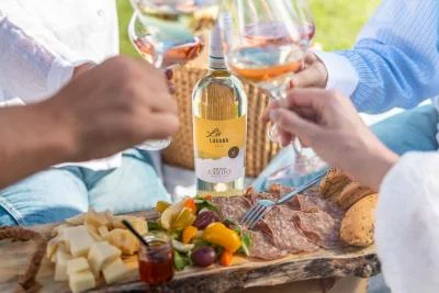 Thumbnail Degustazione di vini freschi e fruttati con prodotti locali al Casetto di Bardolino