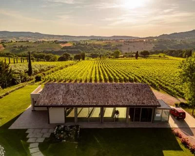 Thumbnail Typical Lunch in the Historic Winery Antonelli San Marco in Montefalco