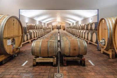 Thumbnail Visita privada con degustación de vinos ecológicos en Il Molino di Grace