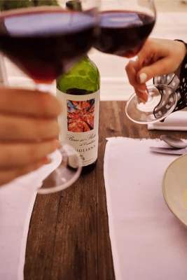 Thumbnail "Des icônes aux nouveaux classiques" Dégustation de vins à Ronchi di Castelluccio, cave de Romagne