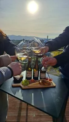 Thumbnail Degustación al atardecer en Quanta Terra Douro