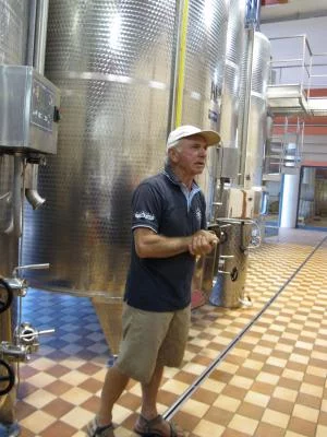 Thumbnail Visita express privata alla fattoria con degustazione di vino a Fibbiano - Principianti e famiglie