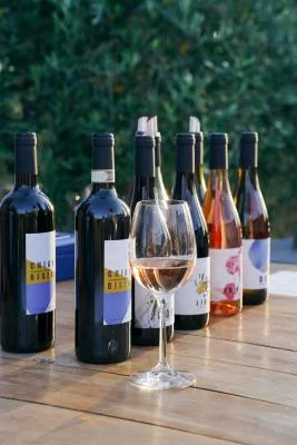 Thumbnail From Vineyard to Table: Winery Tour, Tasting and Lunch at Colle Adimari