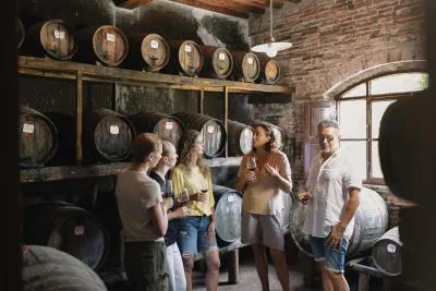 Thumbnail Visite et dégustation de vin à la Fattoria Santa Vittoria en Toscane