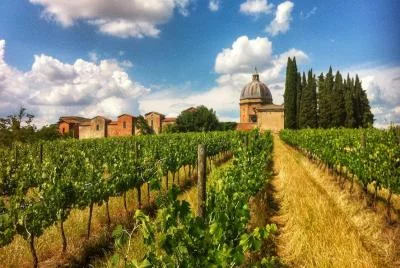 Thumbnail Wine tour e degustazione di vini presso la Fattoria Santa Vittoria in Toscana