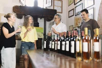 Thumbnail Wine Tasting & Lunch Experience at Fattoria Santa Vittoria in Tuscany