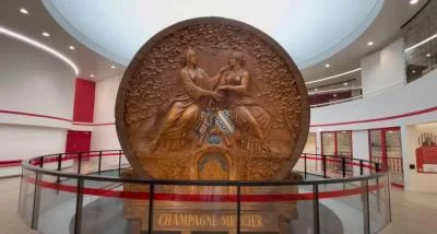 Thumbnail Gita VIP di un giorno in Champagne da Lione: Tour delle cantine e degustazioni a Epernay, Tour dei vigneti e degustazioni a Aÿ