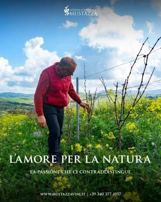 Thumbnail Vineyard Tour and Wine Tasting at Mustazzavini near Trapani