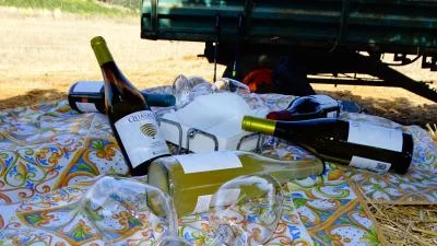 Thumbnail Esperienza tra Vini Siciliani e Sapori del Territorio da Mustazzavini