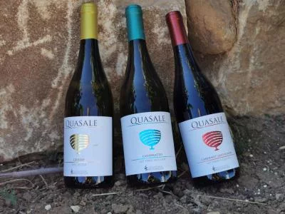 Thumbnail Esperienza tra Vini Siciliani e Sapori del Territorio da Mustazzavini