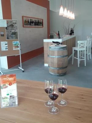 Thumbnail Entre el Sauvignon y el Gamay: Visita al viñedo ecológico y cata en el Domaine Sauvete