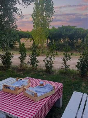 Thumbnail Yoga & Wine Tasting at La Vinarte: Yoga Practice & Moonlight Picnic