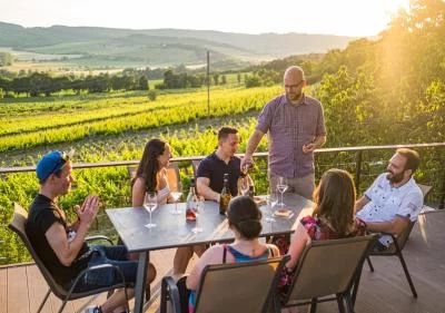Thumbnail Degustazione di vini presso la cantina Mórocz sulla sponda settentrionale del lago Balaton