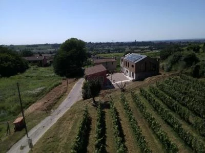 Thumbnail Entdecke die Leidenschaft für Wein auf der Tenuta Regisole bei einer Führung und Verkostung