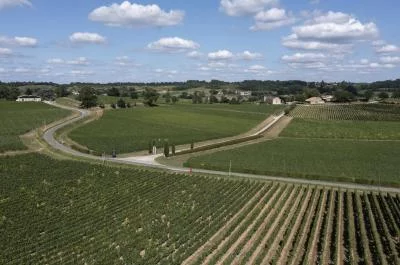 Thumbnail Above the Vines: Tour and Wine Tasting at Château Faugères