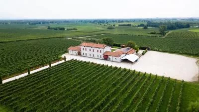 Thumbnail Explora Franciacorta: Ruta del Vino y Almuerzo Auténtico Local en Tenuta Ambrosini