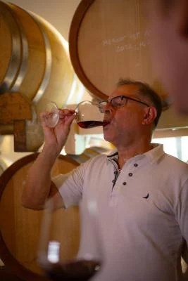 Thumbnail Valpolicella and Amarone wine tour from Padua, Abano Terme, and Montegrotto Terme