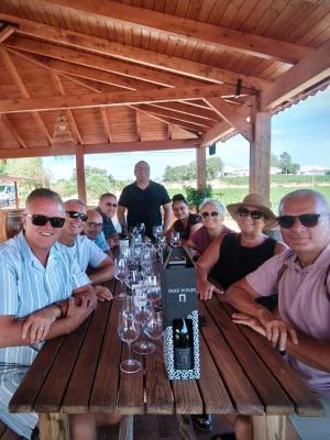 Thumbnail Ruta del Vino de Albufeira: 2 Bodegas y Silves Histórico