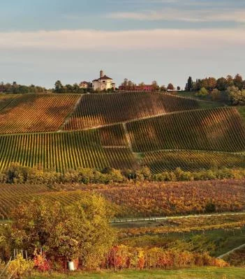 Thumbnail The Time of Wine – Castello di Luzzano Winery Visit with Guided Tasting of 4 Wines