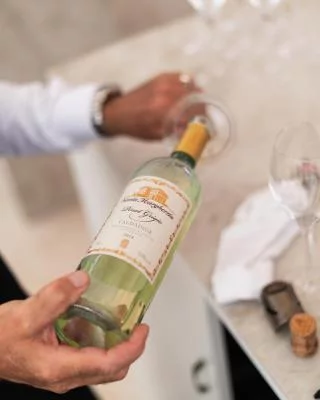 Thumbnail Die Ausdrucksformen des Weinmosaiks - Weinprobe bei Herita Marzotto Wine Estates