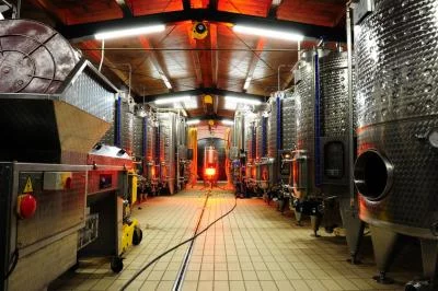 Thumbnail Taste of Umbria: Winery Tour & Farm Lunch with Wines at Carini 