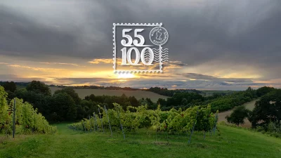 Thumbnail Descubre el vino polaco: Visita a los viñedos y cata en Winnica 55-100