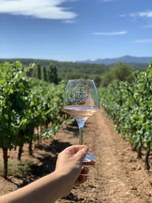 Thumbnail Entdecke die Appellation Palette bei einer Tour und Verkostung auf Château Henri Bonnaud