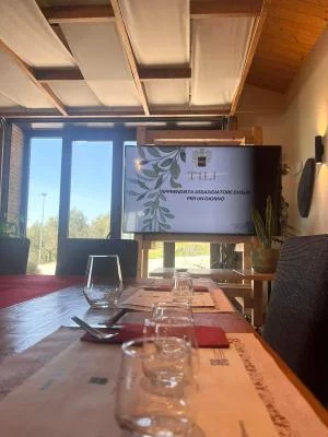 Thumbnail De l'arbre à la table : Deviens un expert en huile d'olive biologique à Assise chez Tili Vini