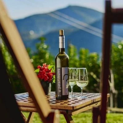 Thumbnail Cata de vinos inmersiva - Guiada por el propietario en Casa de Algar