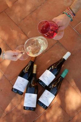 Thumbnail Nuestra Bienvenida - Cata de vinos con visita opcional a la Bodega y Viñedo de Colle Funaro