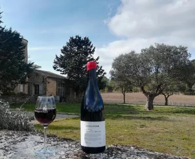 Thumbnail Dégustation de vins bio et visite de la cave au Château St. Jacques d'Albas