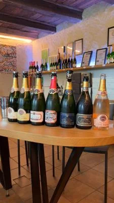 Thumbnail Degustazione di vino bianco pregiato della Val d'Isarco e di formaggi in Alto Adige da Bolzano