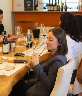 Thumbnail Winery Tour and Langhe Wine Tasting at Réva in Monforte d'Alba