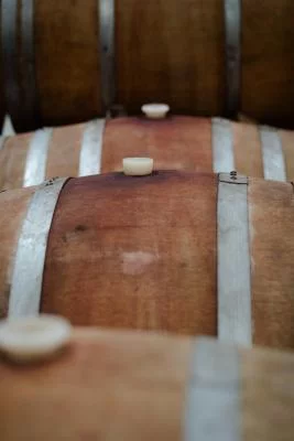 Thumbnail Langhe Experience: winery tour and wine tasting at Réva