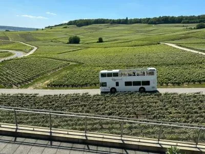 Thumbnail Epernay : Promenade en bus impérial privé dans les vignobles de Champagne et démonstration de sabrage