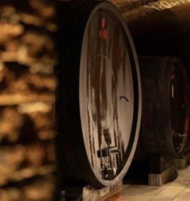 Thumbnail Voyage œnologique à travers La Morra dans les caves historiques de Poderi Marcarini