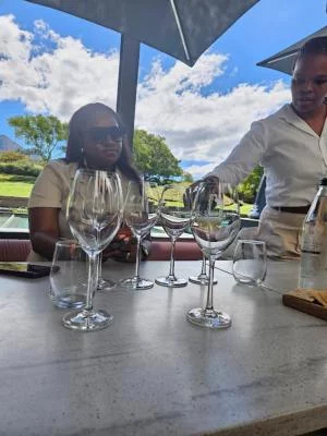 Thumbnail Wine tour privato della Valle di Constantia da Città del Capo